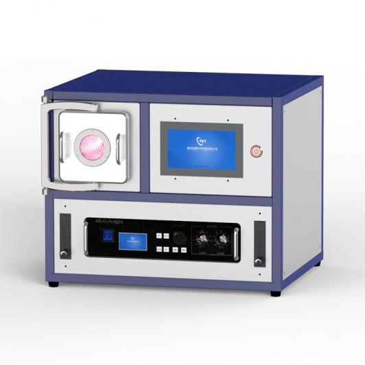 300W 2L plasma cleaning machine CY-P2L-300W